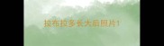 拉布拉多长大后照片