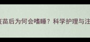 狗狗接种疫苗后为何会嗜睡科学护理与注意事项全