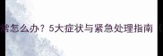 拉布拉多体温异常怎么办5大症状与紧急处理指南附体温表对照