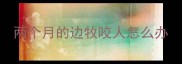 两个月的边牧咬人怎么办