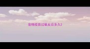 宠物疫苗过敏反应多久