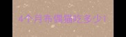 4个月布偶猫吃多少