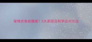 宠物犬食欲骤减5大原因及科学应对方法