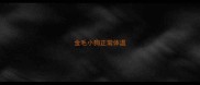 金毛小狗正常体温