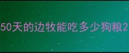 50天的边牧能吃多少狗粮