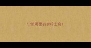 宁波哪里有卖哈士奇