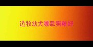 边牧幼犬哪款狗粮好