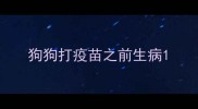 狗狗打疫苗之前生病