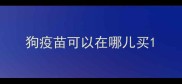 狗疫苗可以在哪儿买