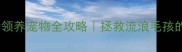 吉林市免费领养宠物全攻略拯救流浪毛孩的暖心指南