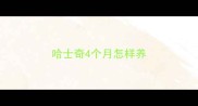 哈士奇4个月怎样养