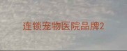 连锁宠物医院品牌