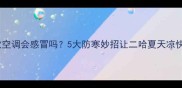 哈士奇吹空调会感冒吗5大防寒妙招让二哈夏天凉快不生病