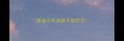 泰迪不听话能不能打它