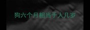 狗六个月相当于人几岁
