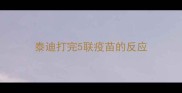 泰迪打完5联疫苗的反应
