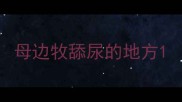 母边牧舔尿的地方