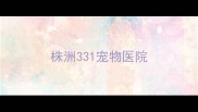 株洲331宠物医院