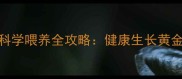 4个月大猫咪科学喂养全攻略健康生长黄金期养护要点
