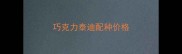 巧克力泰迪配种价格