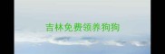 吉林免费领养狗狗