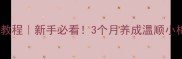 哈士奇训练教程新手必看3个月养成温顺小棉袄的秘诀