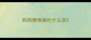 狗狗腰椎病吃什么药