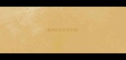 澳洲拉布拉多价格