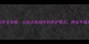 哈士奇饲养全攻略从幼犬到成年的养护要点附全年健康清单