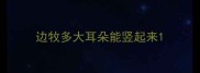边牧多大耳朵能竖起来