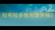 拉布拉多使用磨牙棒