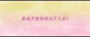 泰迪犬智商相当于几岁