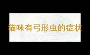 猫咪有弓形虫的症状