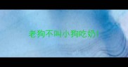 老狗不叫小狗吃奶