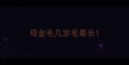 母金毛几岁毛最长