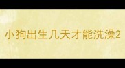 小狗出生几天才能洗澡