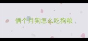 俩个月狗怎么吃狗粮