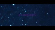 两个月咖啡边牧照片
