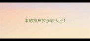 串的拉布拉多咬人不