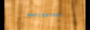 狗狗打了疫苗10天蔫了