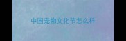 中国宠物文化节怎么样