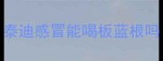 泰迪感冒能喝板蓝根吗