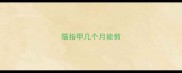 猫指甲几个月能剪