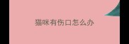 猫咪有伤口怎么办