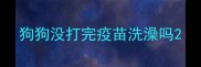 狗狗没打完疫苗洗澡吗