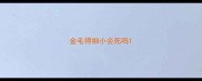 金毛得细小会死吗