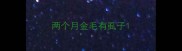 两个月金毛有虱子