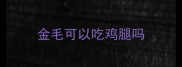 金毛可以吃鸡腿吗