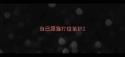 自己跟猫打疫苗针
