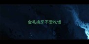 金毛换牙不爱吃饭